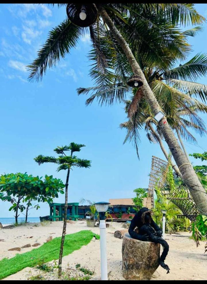 Alivious Beach Homestay Alappuzha Zewnętrze zdjęcie